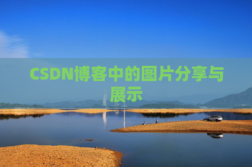 CSDN博客中的图片分享与展示